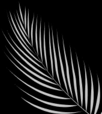 Leaf-image